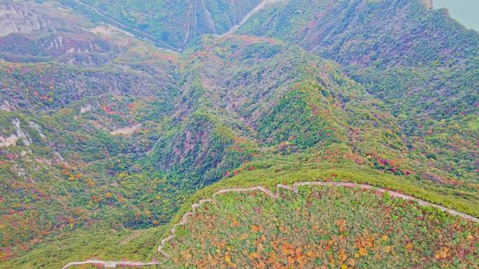 长江三峡巫峡红叶