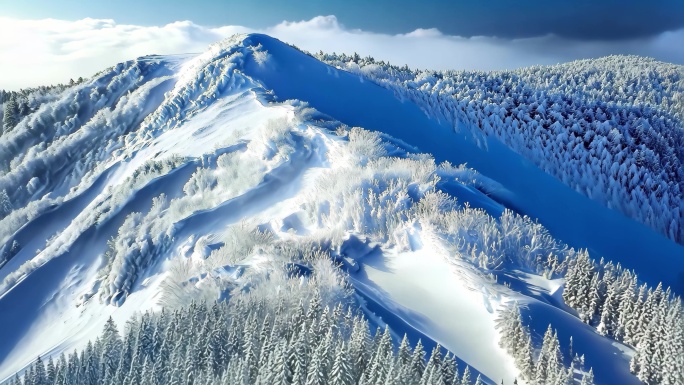 雾凇岛 雾凇 雪乡