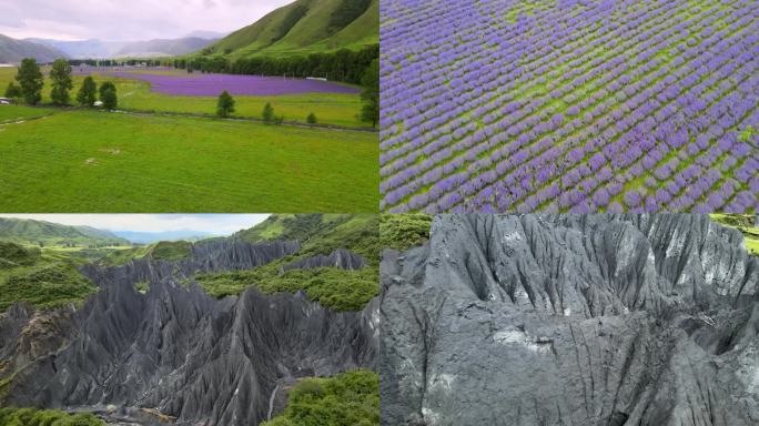 成都川西新都桥薰衣草墨石公园