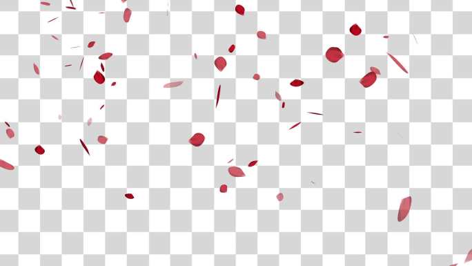 粒子控制的玫瑰花飘落AE模板