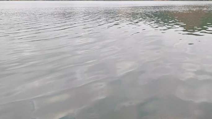 水纹淡水资源绿水青山淡水资源湖水西江珠江