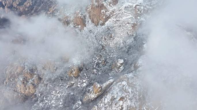 崂山雪淞雾凇