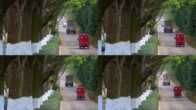 贵州平坝樱花园里森林公路里行驶的汽车