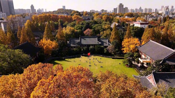 南京师范大学秋景