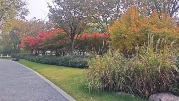 公园美景