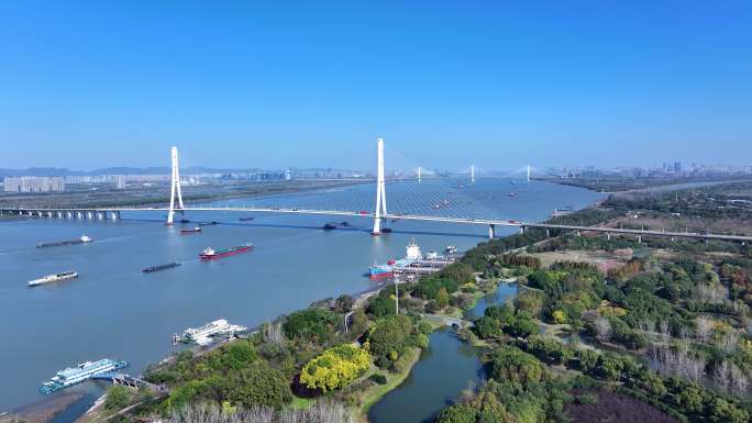 南京三桥 大胜关长江大桥湿地公园
