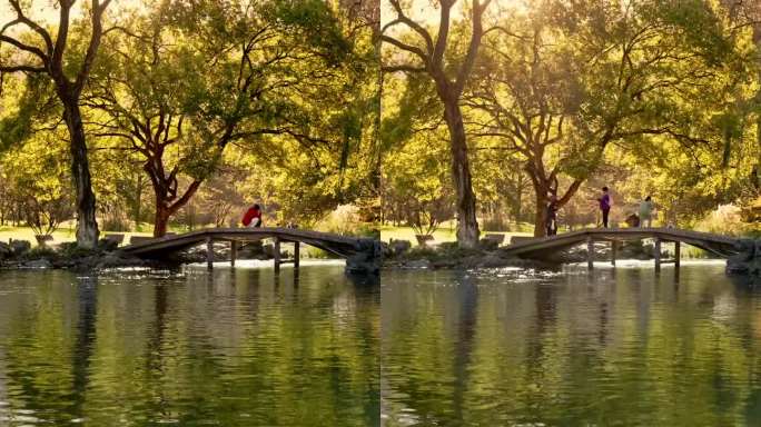 直播背景素材绿幕蓝幕抠图抠像公园室外固定