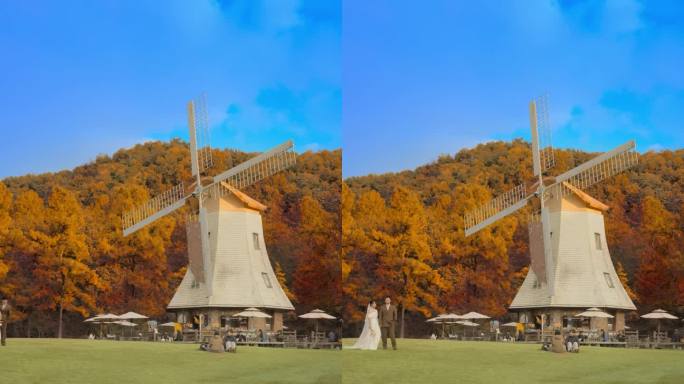 直播背景素材绿幕蓝幕抠图抠像公园室外固定