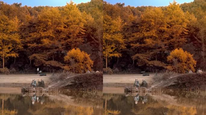 直播背景素材绿幕蓝幕抠图抠像公园室外固定