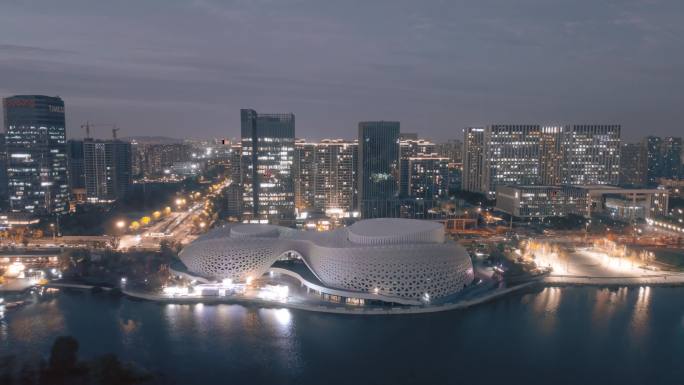 金沙湖大剧院夜景航拍