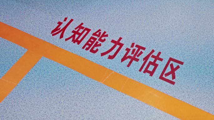 养老院能力评估