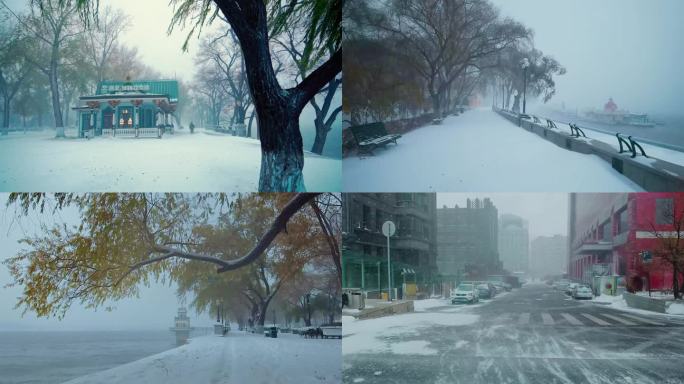 4K 哈尔滨下大雪了江沿雪景江边松花江