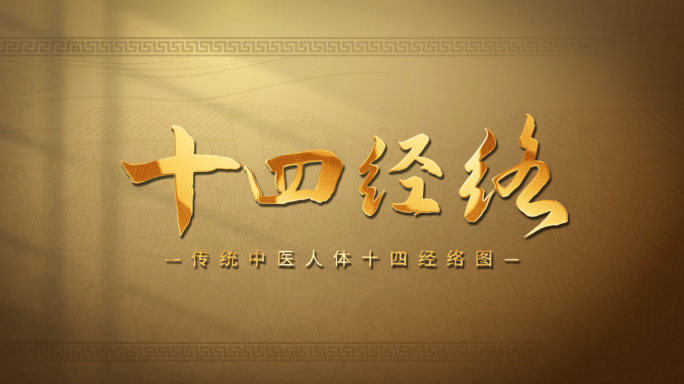 中医十四经脉经络穴位图针灸图高清无插件板