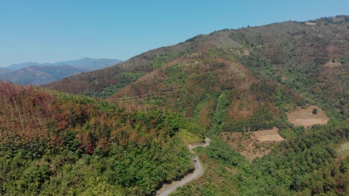 越南山脉和森林中蜿蜒道路的鸟瞰图。