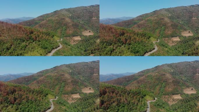 越南山脉和森林中蜿蜒道路的鸟瞰图。