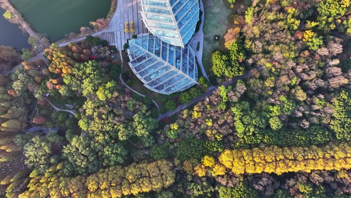 江苏南京灵山风景区前湖秋天秋色航拍
