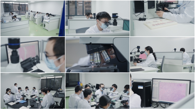 4K生物医药集体阅片室集体观测CRO分析
