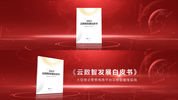 红色宽屏白皮书发布动画