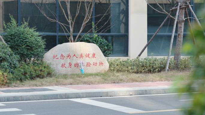 4K实验动物实验生物医药纪念碑