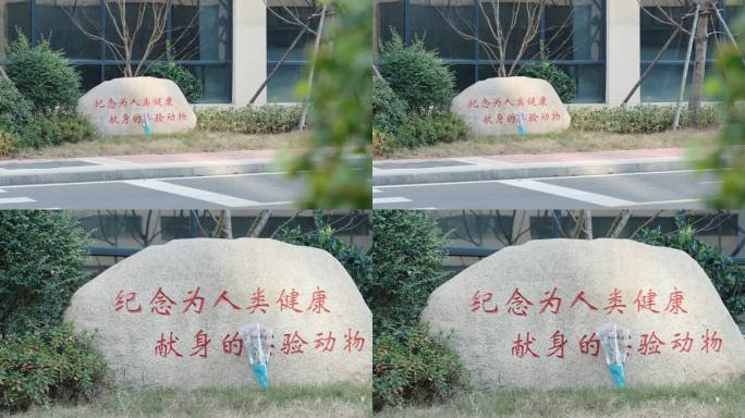 4K实验动物实验生物医药纪念碑