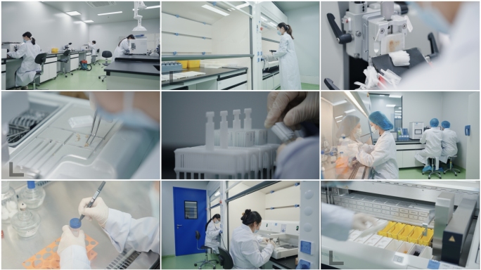 4K生物医学动物实验实验切片包埋实验