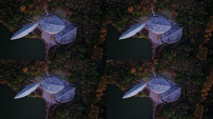 江苏南京灵山风景区前湖秋天秋色航拍