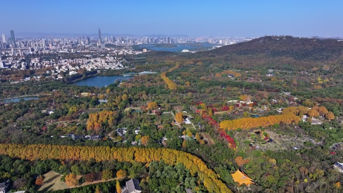 江苏南京灵山风景区前湖秋天秋色航拍