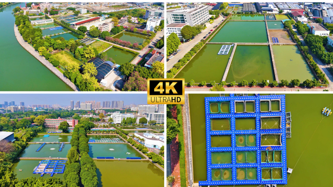 广州荔湾 珠江水产研究所