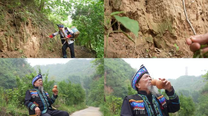 采药 苗医 苗族老头