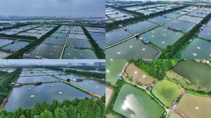 佛山南海桑基鱼塘航拍