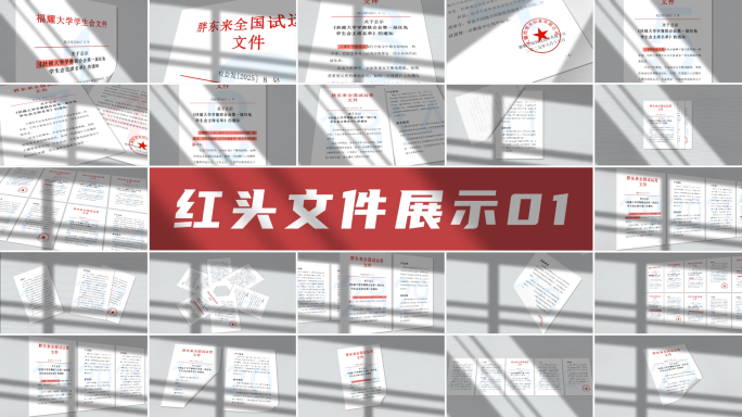 红头文件展示01