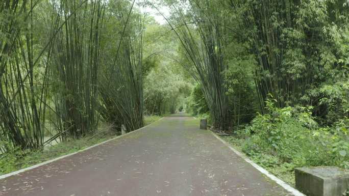 航拍湖南湘西龙山县乌龙山大峡谷log素材