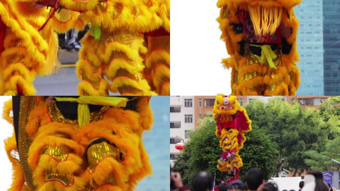 舞狮 节日城市舞狮 过年舞狮实拍