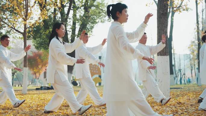 4K银杏太极拳 康养养生美好生活老年生活