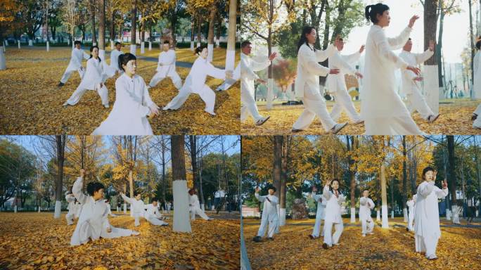 4K银杏太极拳 康养养生美好生活老年生活