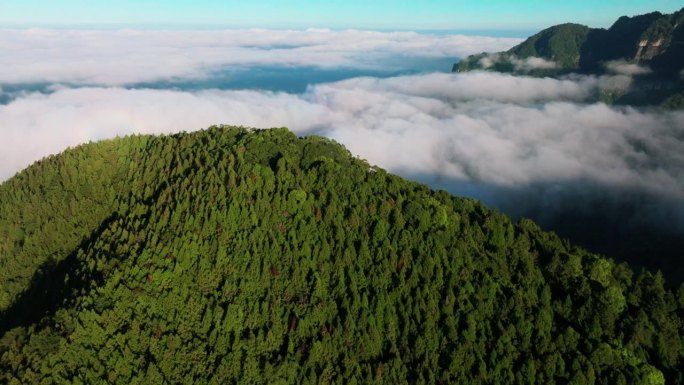 台湾阿里山山脉的鸟瞰图。