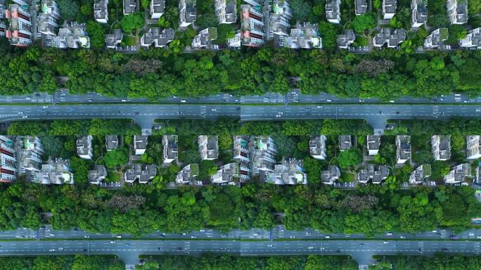 直接在深圳可持续城市绿色建筑上方