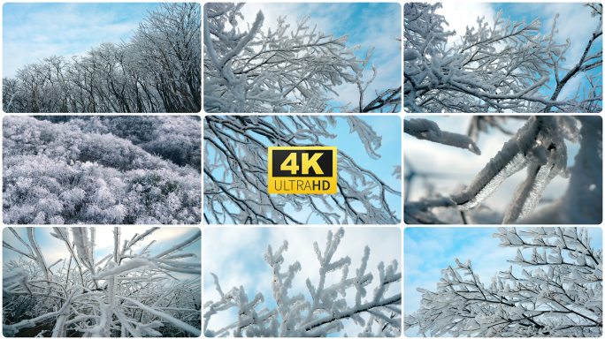 实拍冬季唯美雾凇雪景