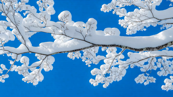 雪地 雪景 雾凇 河流