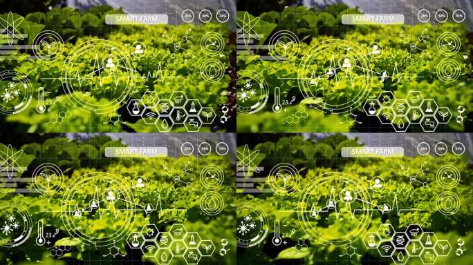 现代农业科技蔬菜大棚自动化种植标准化