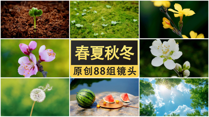 四季变化 春夏秋冬 四季延时 2025