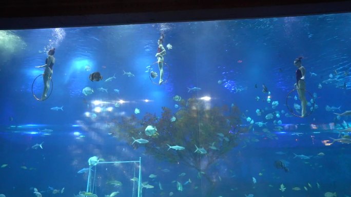 重庆汉海海洋公园美人鱼表演