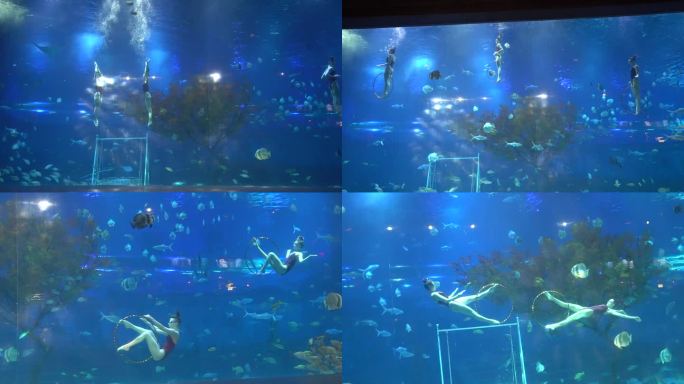 重庆汉海海洋公园美人鱼表演