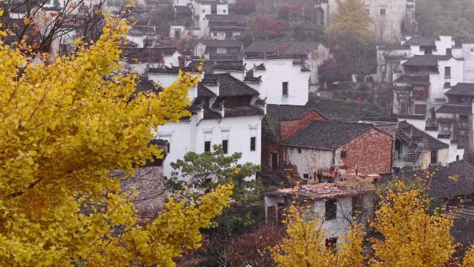 美丽乡村 婺源 篁岭 秋收 晒秋 丰收