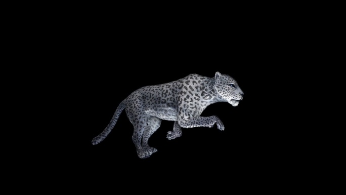 豹子C4D模型三维3d动画动物世界
