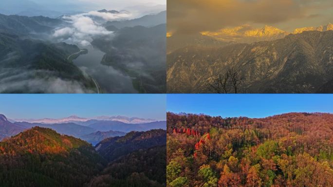 航拍雪山金山森林大山河流水云海日出