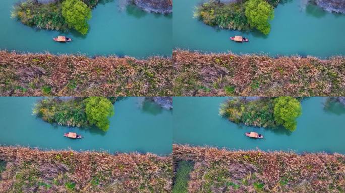杭州西溪湿地手划船和芦苇风光