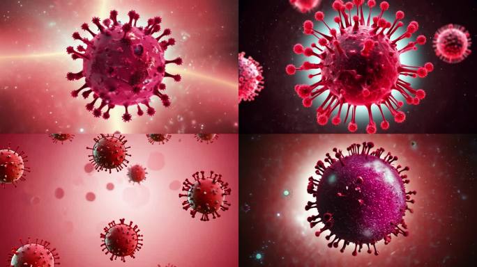 HPV  人类乳头瘤病毒  病毒