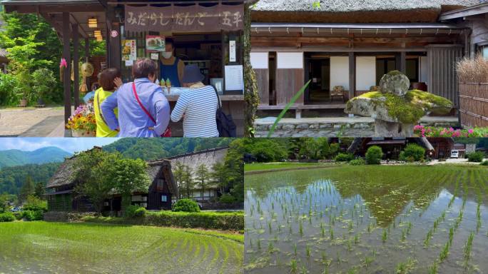 日本白川乡合掌村夏季