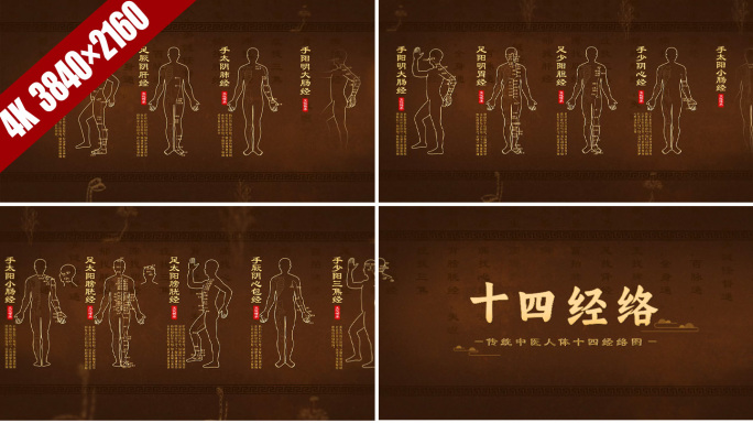 中医十四经脉经络穴位图针灸图高清无插件板